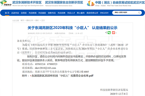 1607585285366060.jpg 科技小巨人.jpg